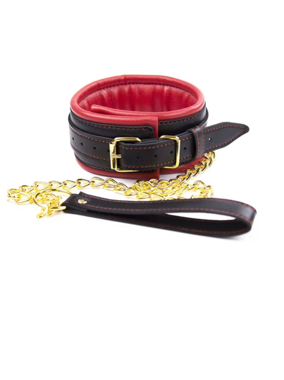 Premium Faux Leather Bondage Collar